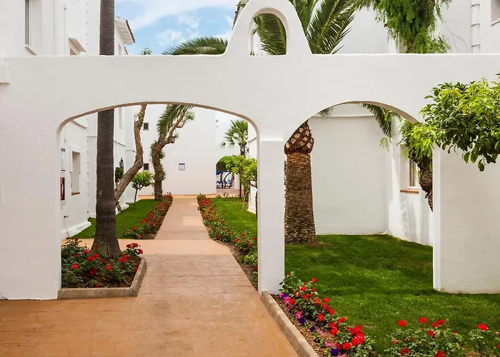 Globales Bouganvilla
